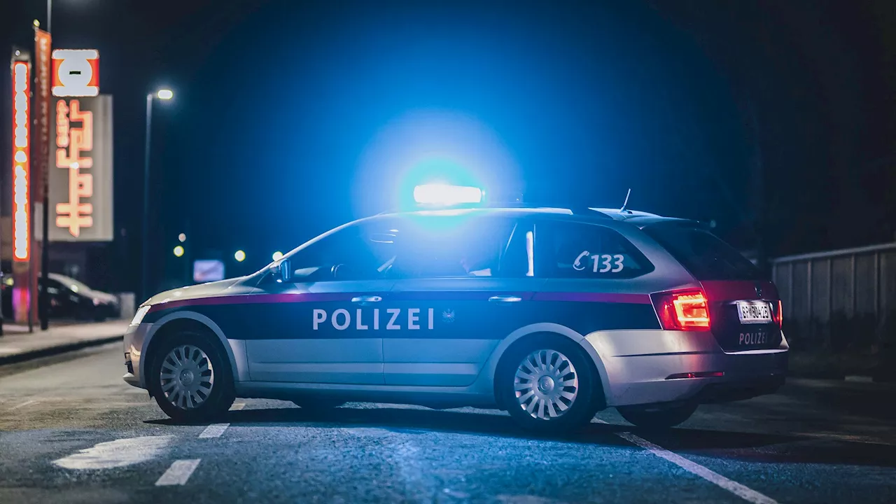 Wiener steht plötzlich mit Axt und Machete vor Lokal