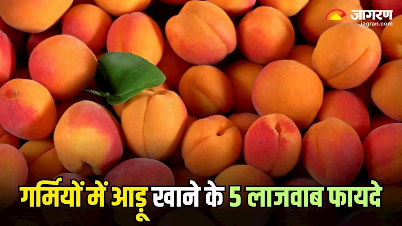 Benefits of Peaches: हार्ट से लेकर पाचन तक, गर्मियों में आड़ू खाने के ये 5 फायदे, आपको भी कर देंगे हैरान