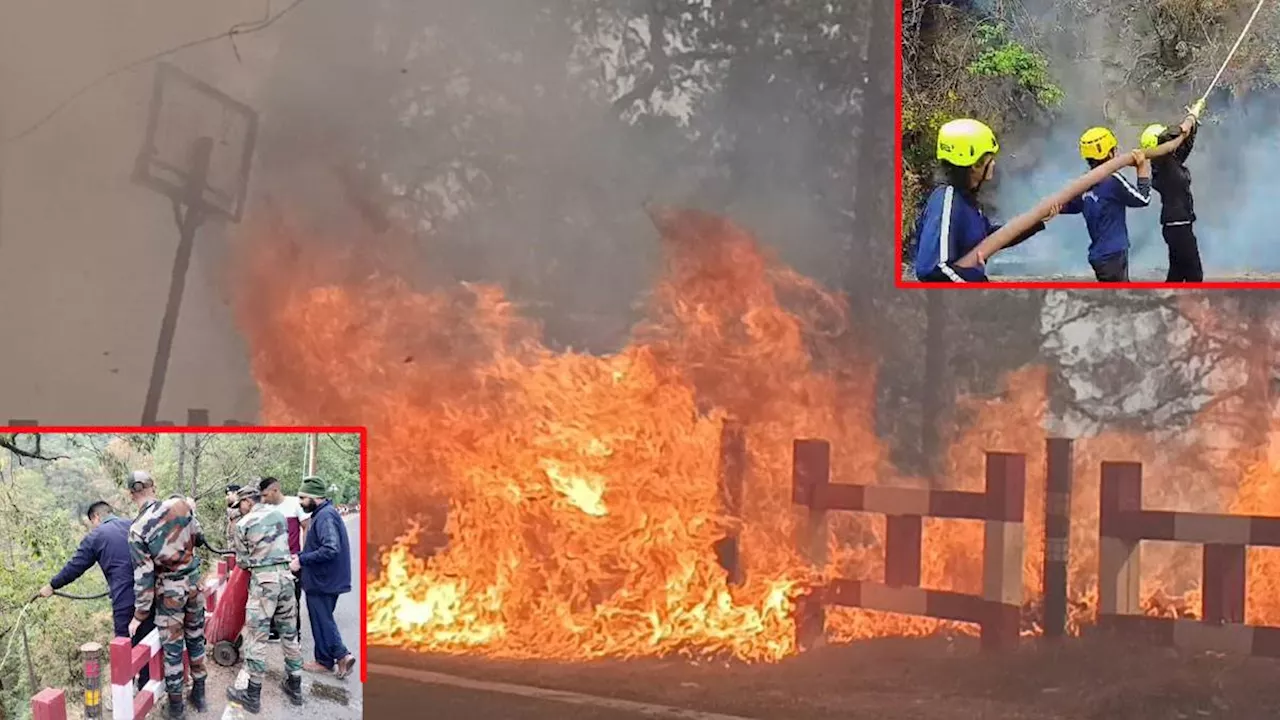 Forest Fire Uttarakhand: धधक रहे जंगल, घुट रहा दम; नैनीताल में आग बेकाबू- तस्‍वीरों में देखें