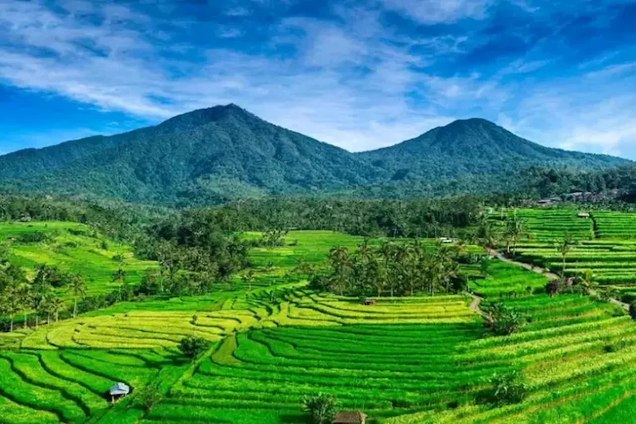 Dinas Pariwisata Provinsi Bali Siapkan Lima Objek Wisata untuk Kunjungan Delegasi World Water Forum ke-10