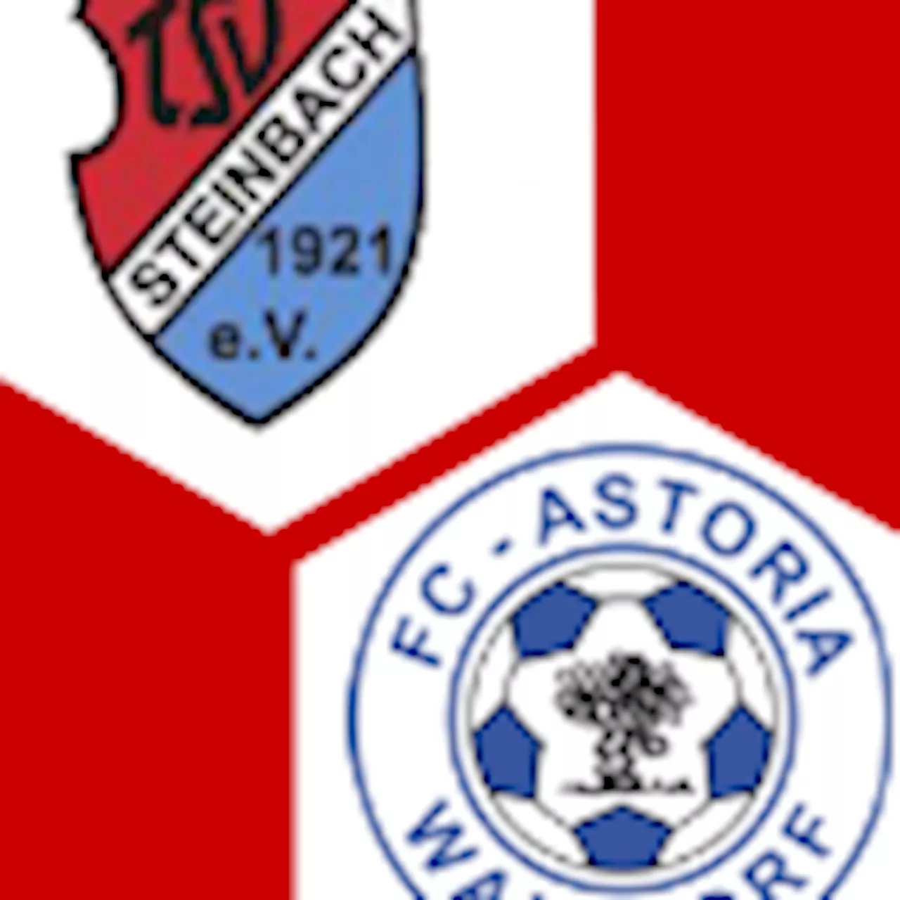 TSV Steinbach Haiger - FC-Astoria Walldorf 0:0 | 31. Spieltag