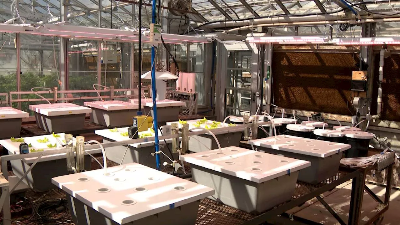 NASA looking to researchers at Utah State University to problem-solve farming on Mars