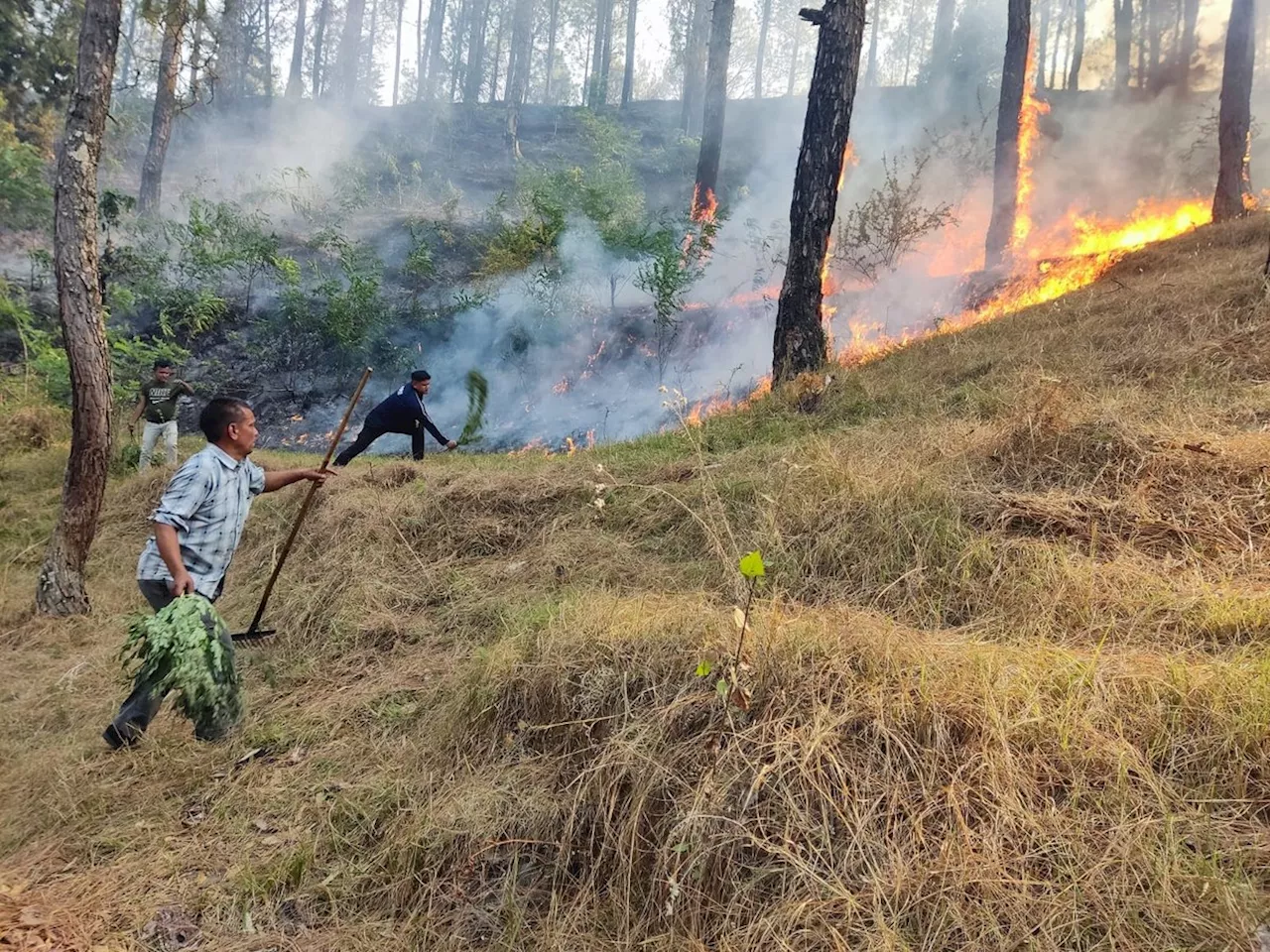 नैनीताल के जंगल में लगी आग हुई विकराल, नैनी झील में नौकायन बंद, बुलाई गई सेना, हेलीकॉप्टर से पानी का छिड़काव