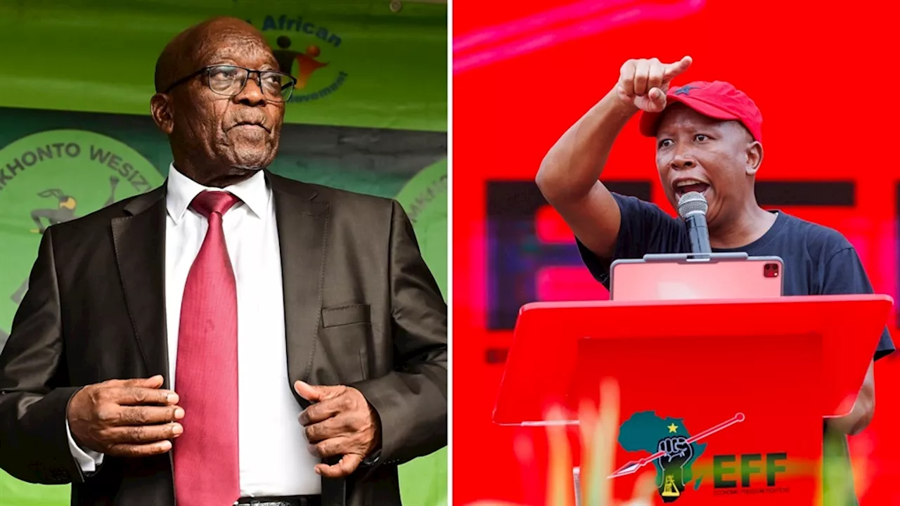 EFF, MK Party manifestos: Two peas in a policy pod