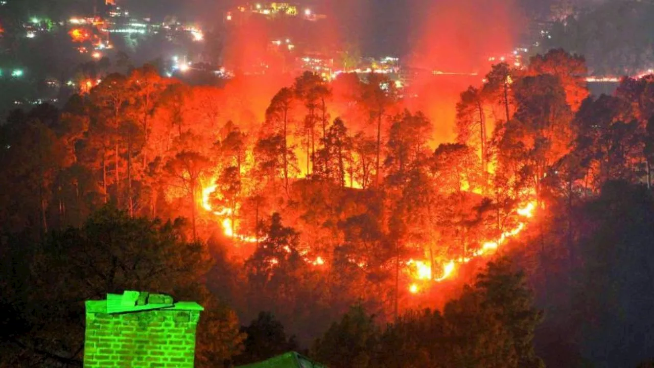 Uttarakhand Forest Fire: नैनीताल में धधक रहा जंगल.. रिहायशी इलाकों को खतरा, आग पर काबू पाने की कोशिश जारी