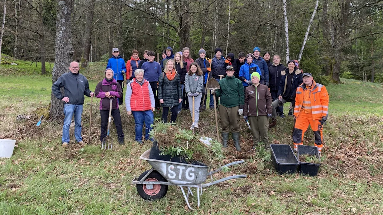 Mittelschule half beim Pflegeeinsatz im Naturpark Blockheide