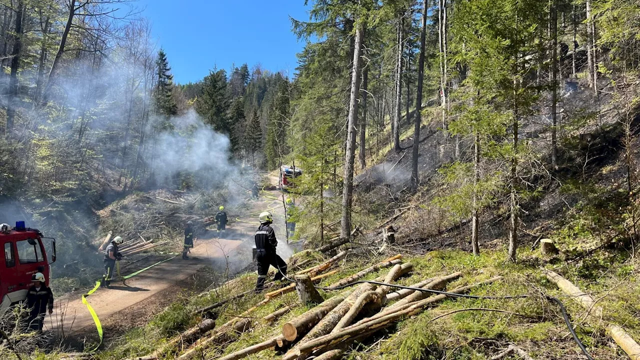 Wald brannte in St. Aegyd