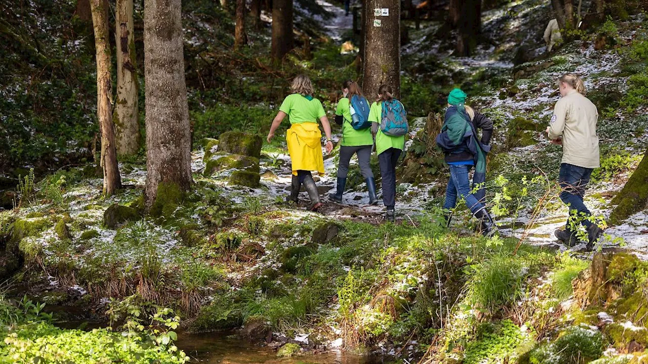 Thüringen: Pfadfinder wollen in Thüringen durchstarten