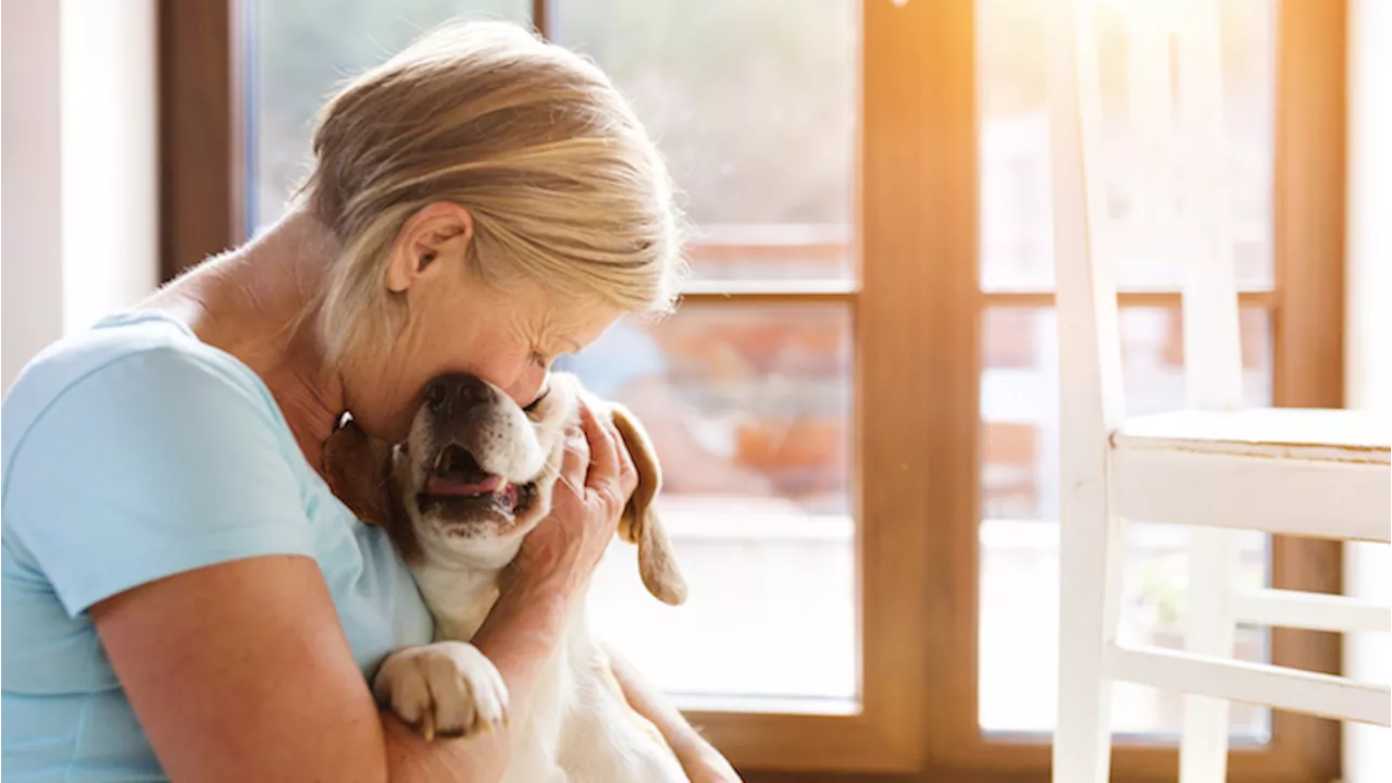 Quali sono i benefici di avere un animale domestico da almeno 5 anni?