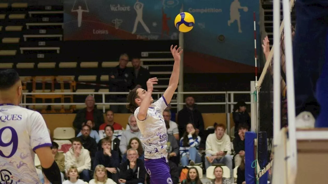 Volley-ball. Élite M : les Briochins s’imposent avec la manière contre Harnes