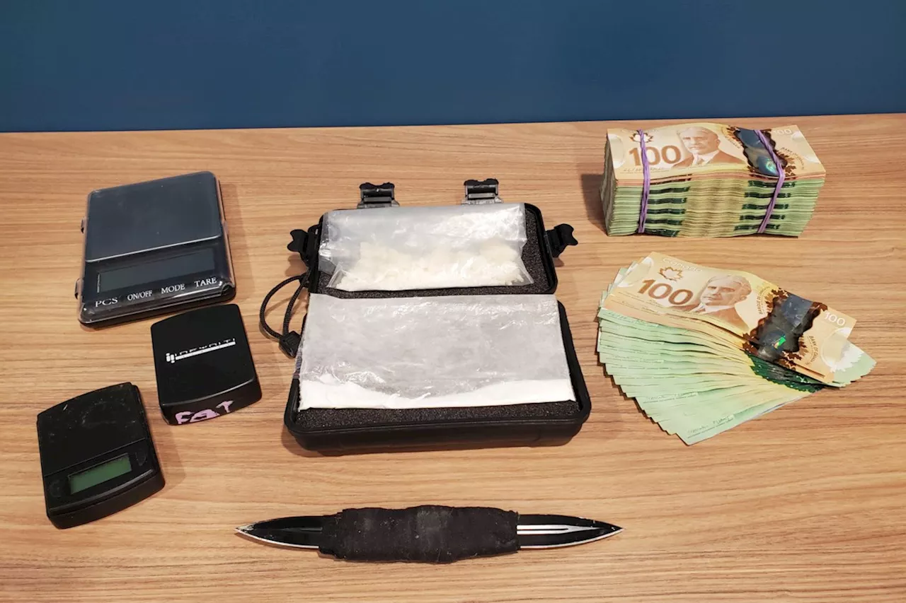 New police unit to target Toronto gangs trafficking 'massive' loads of drugs on First Nations