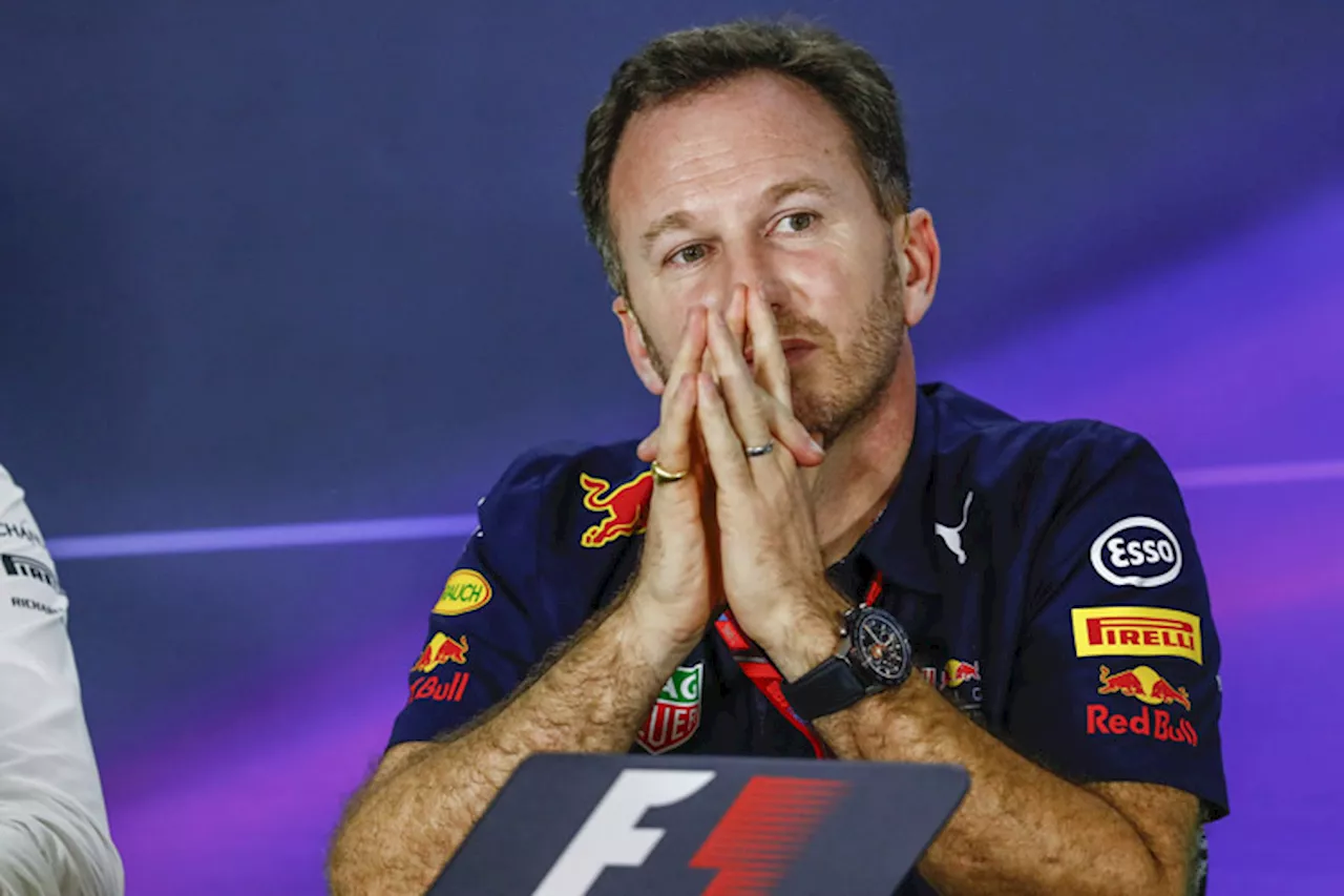 Christian Horner, Red Bull Racing: «Hasse diese Idee»