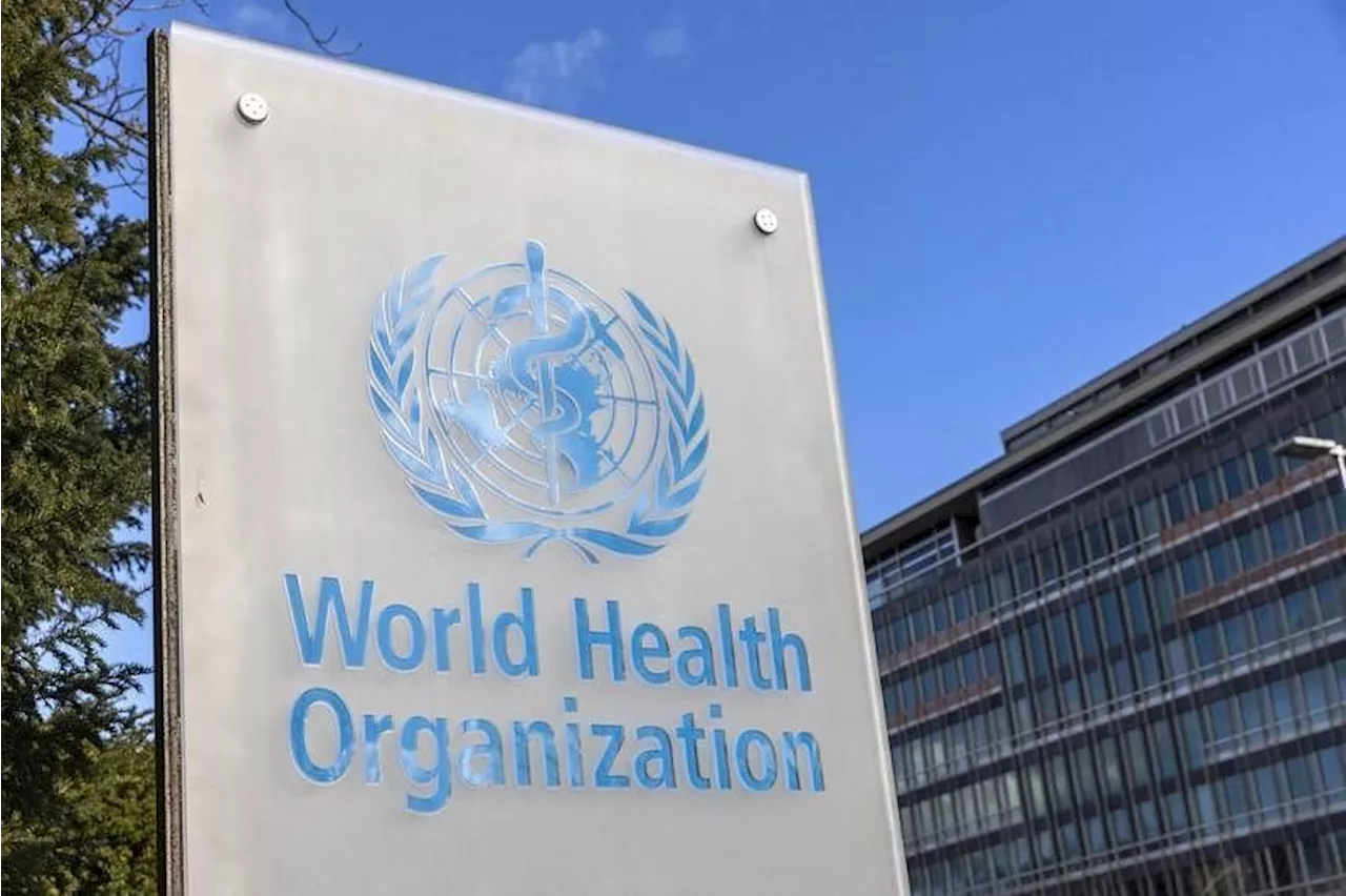 WHO says bird flu risk currently low buy asks countries to remain vigilant