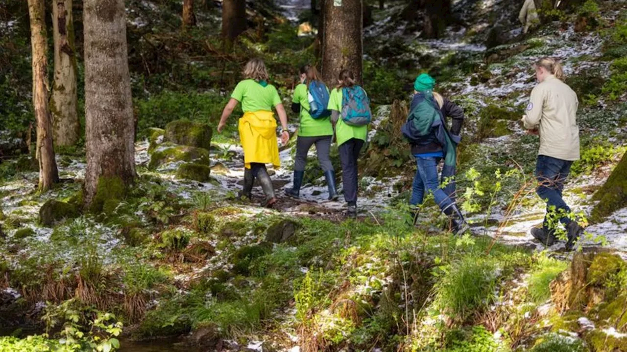 Verbände: Pfadfinder wollen in Thüringen durchstarten