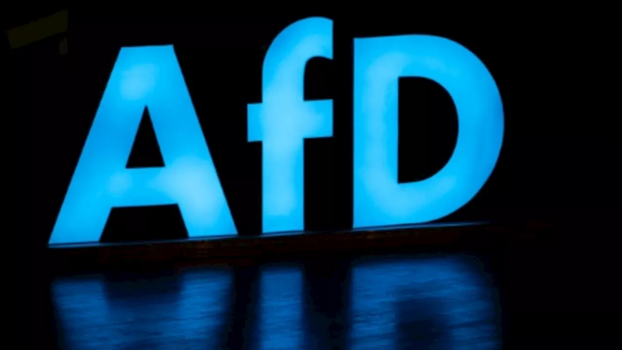 Vorwürfe gegen Spitzenkandidaten: AfD verliert in Umfragen zur Europawahl