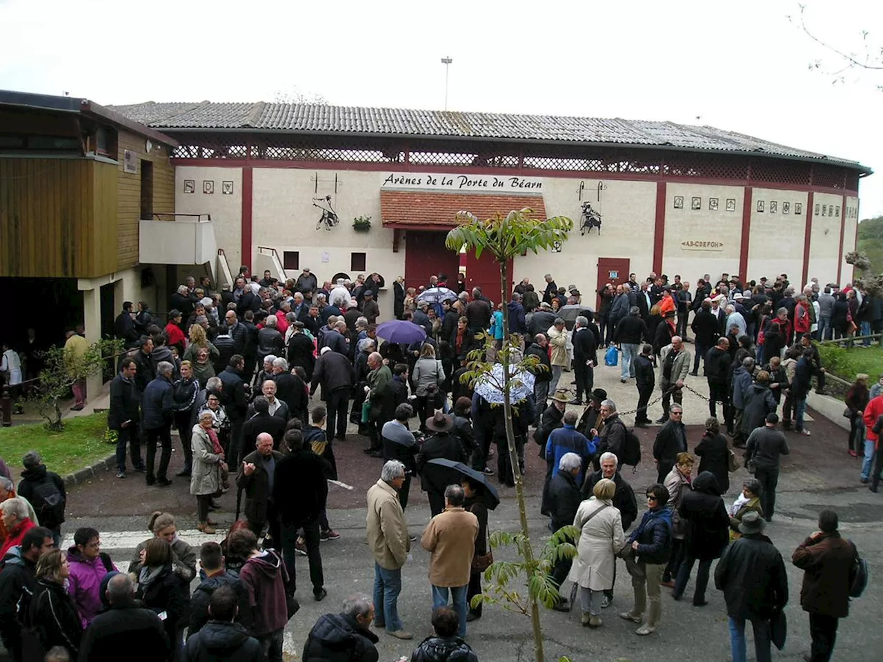 Béarn : Garlin ouvre la saison de course landaise