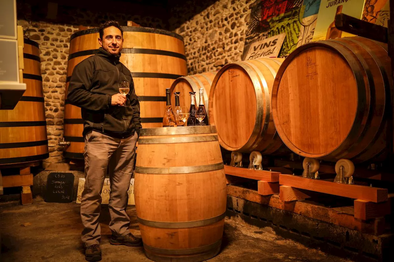 Économie viticole en Béarn : la bulle à la cote chez les vignerons de jurançon