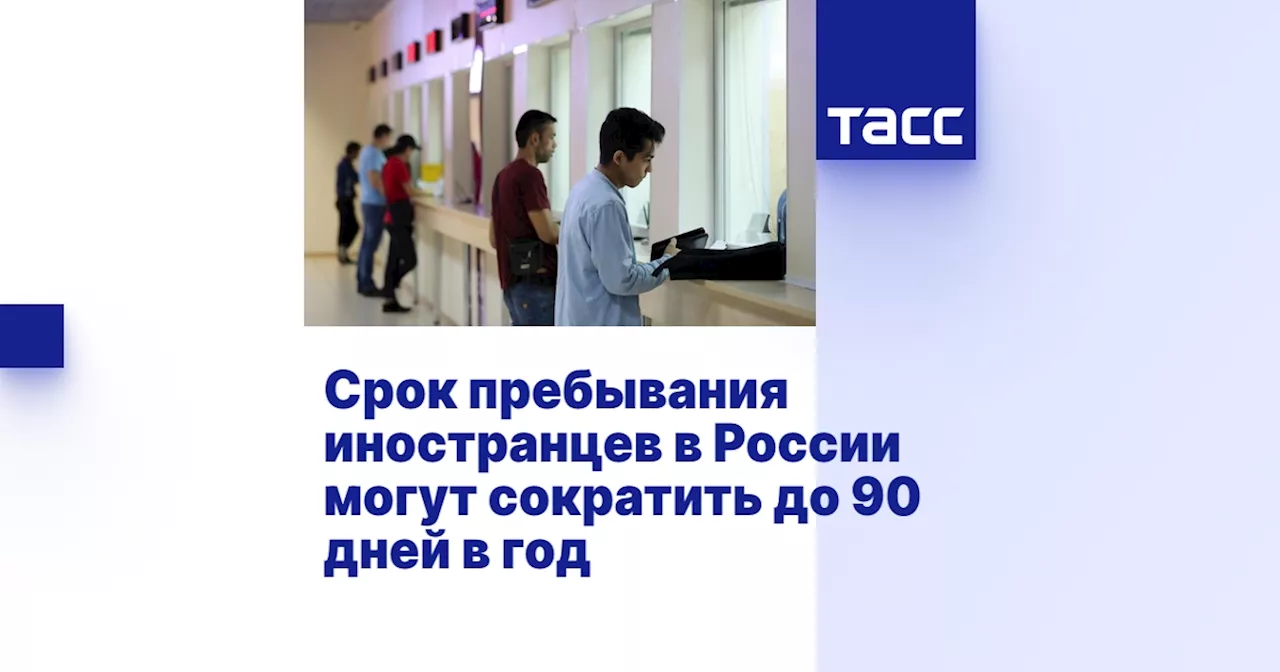 Срок пребывания иностранцев в России могут сократить до 90 дней в год