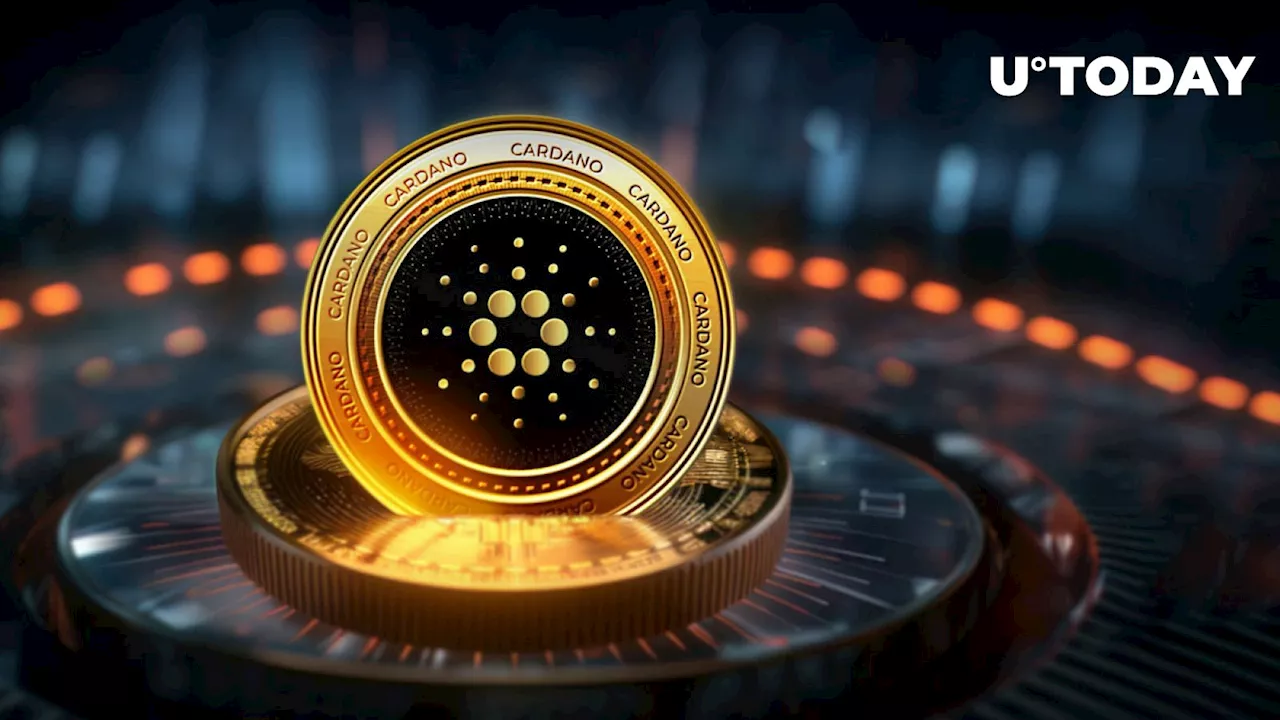 Cardano (ADA) Might Be Worth Keeping Eye on, Here's Reason