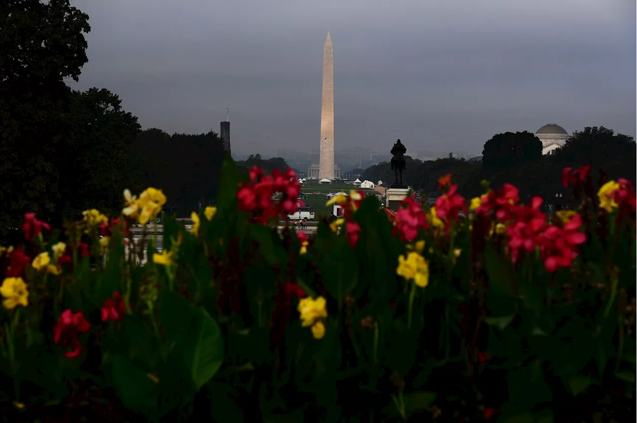 A little rain fell in D.C. on Saturday, and a little was a lot