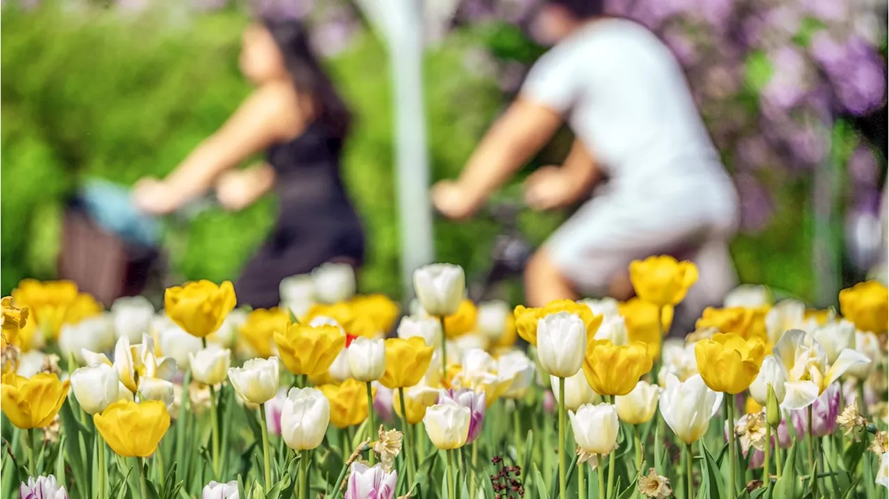 Wetter in Deutschland: April zeigt sich nochmal mit Sonne und hohen Temperaturen