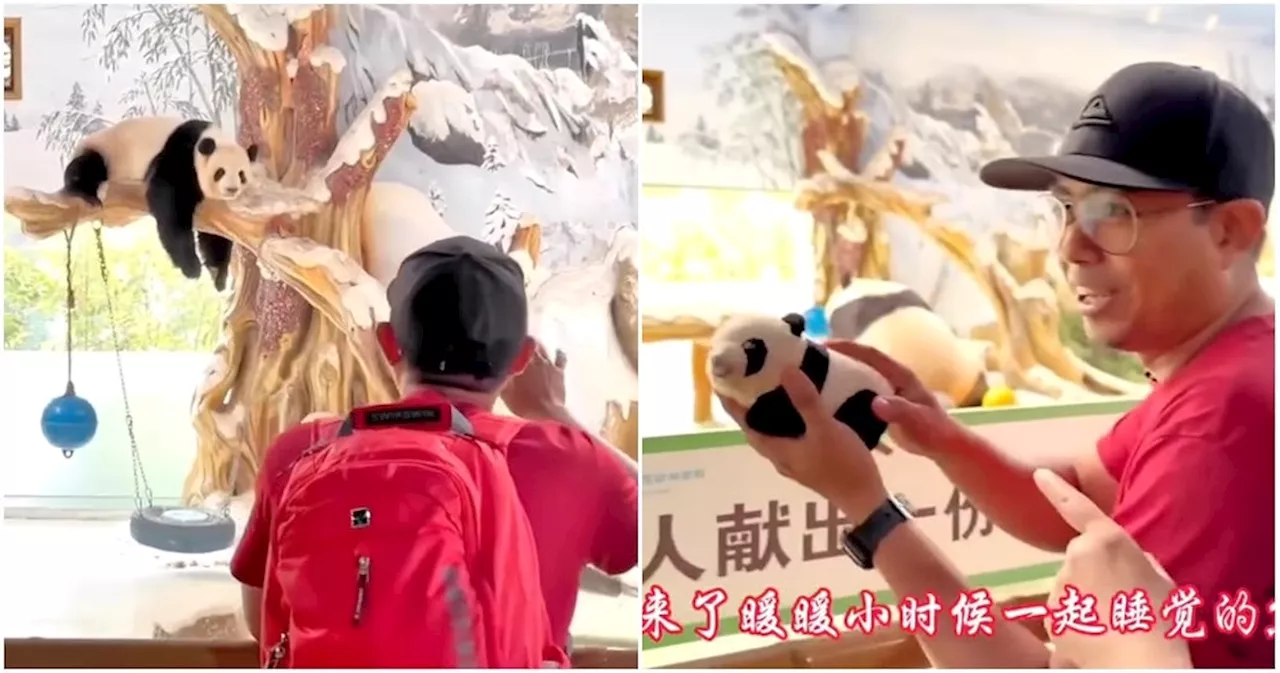 M’sian Panda Caretaker Reunites With Nuan Nuan in China, He Took Care of Her When She Was a Baby