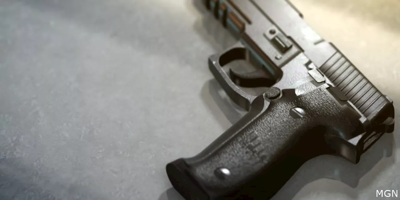 Alabama lawmaker to file new concealed carry bill