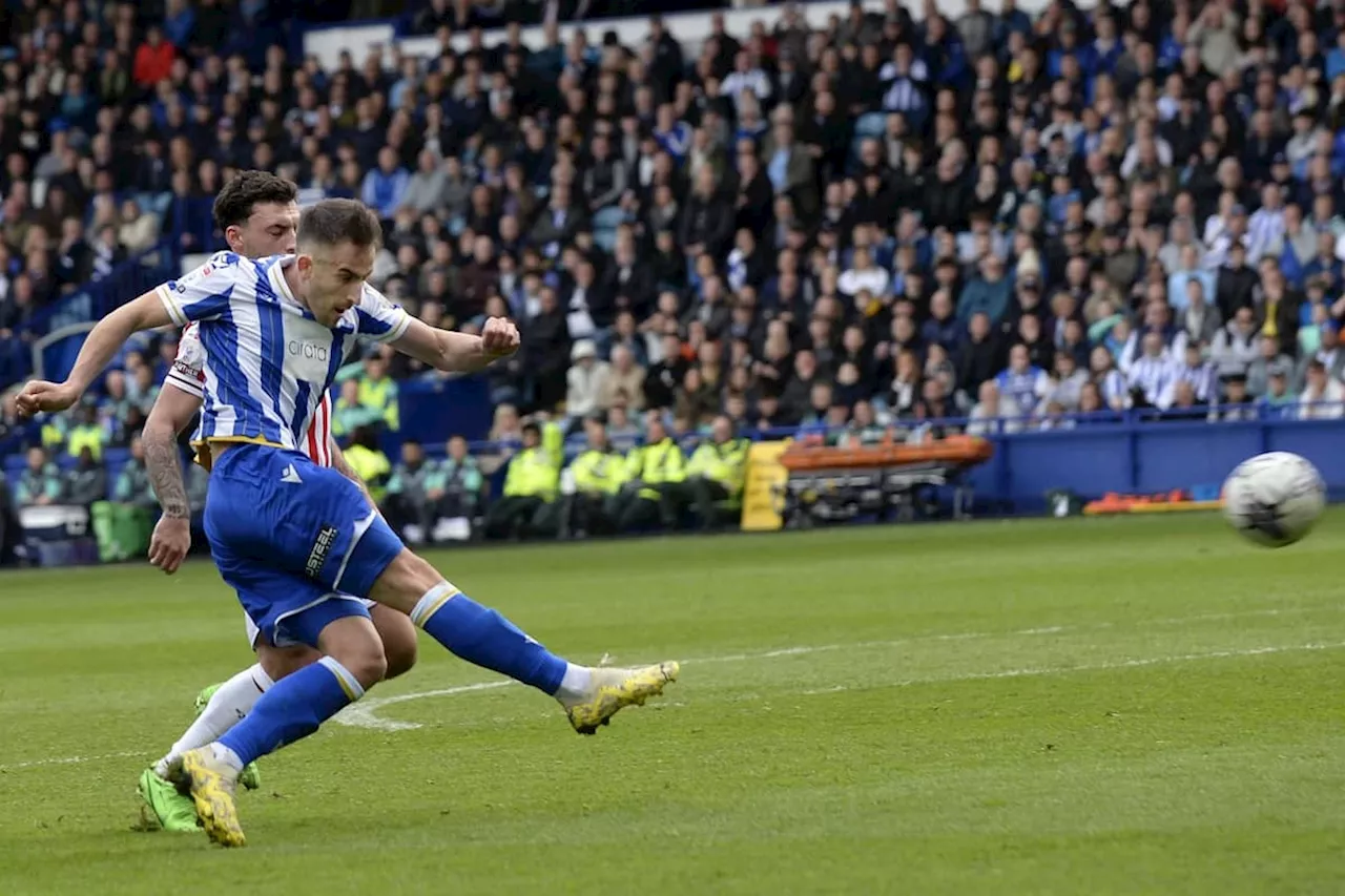 Sheffield Wednesday v West Bromwich Albion: Togetherness is Owls' big strength in Championship relegation battle