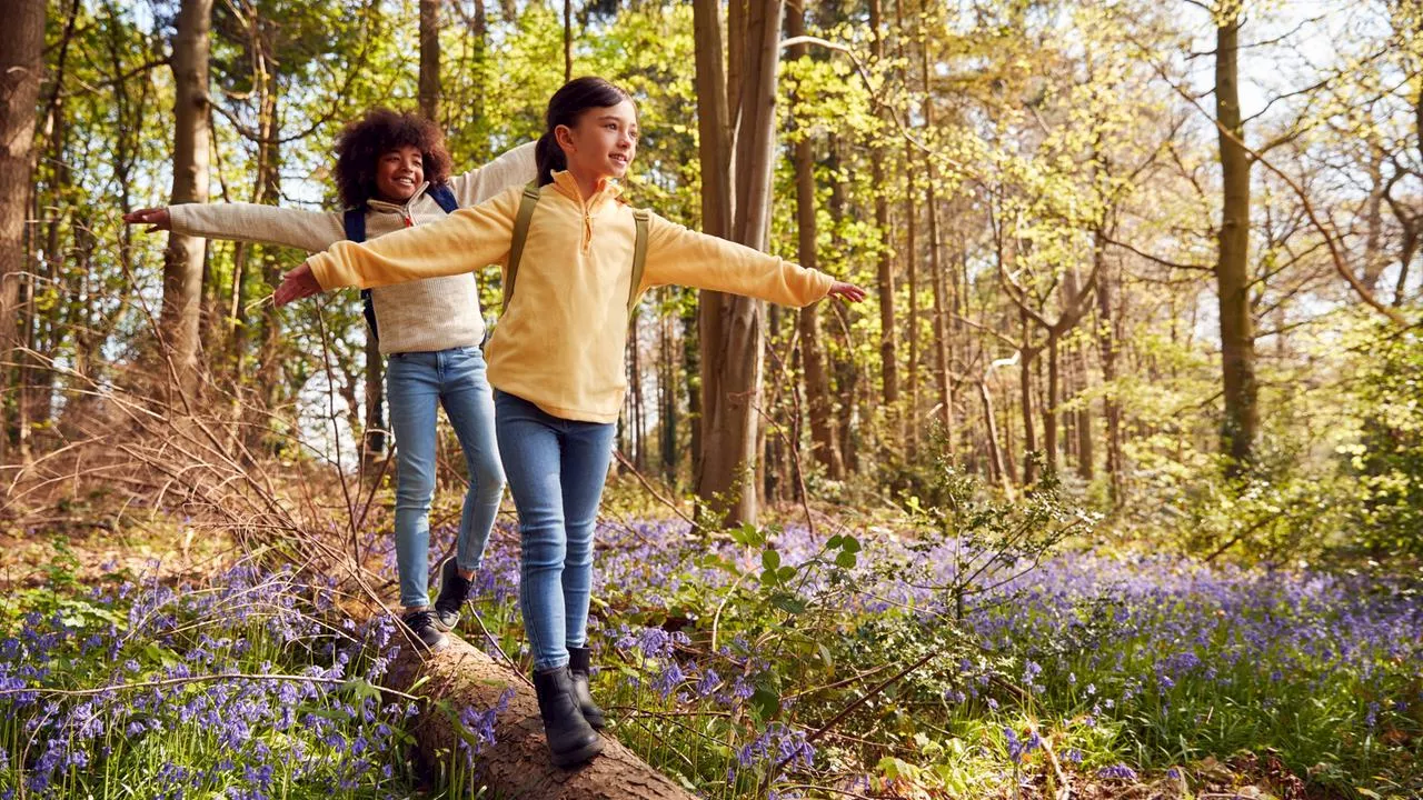 Naturschutz: Regeln und Verhalten für Ausflüge in die Natur