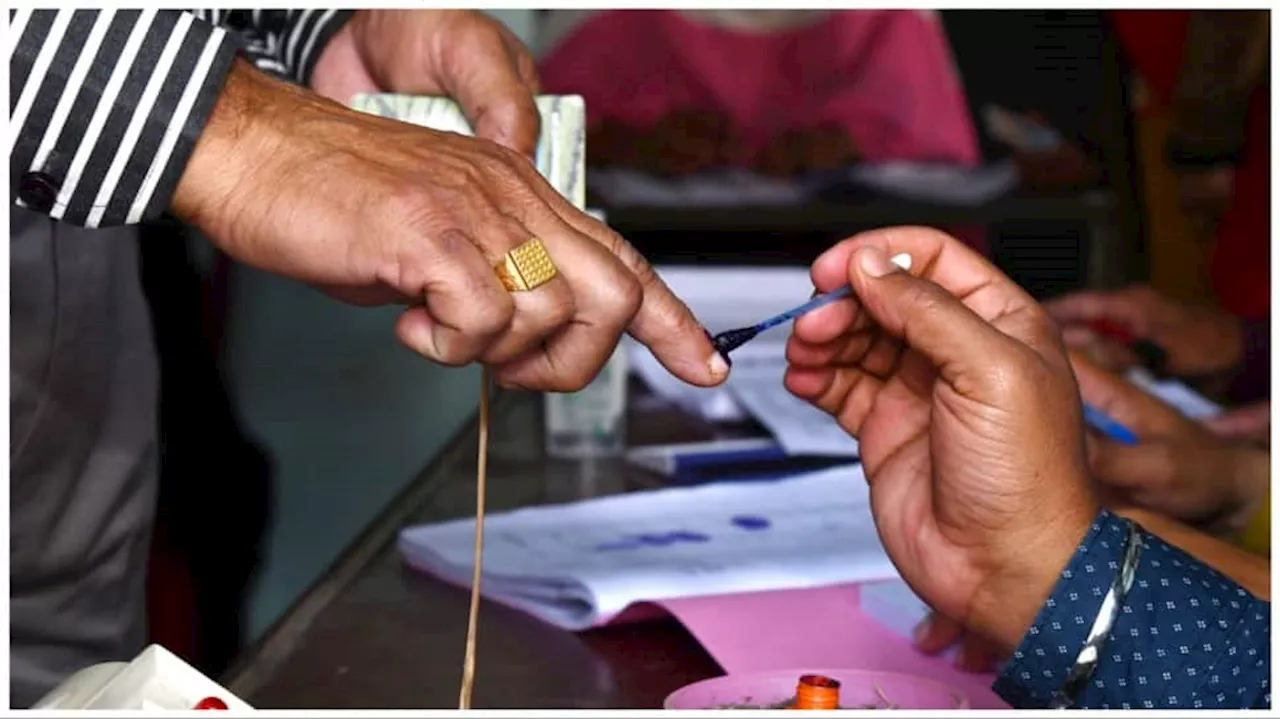 Lok Sabha Elections Phase 2: Man Returns From Germany To Cast Vote In Noida