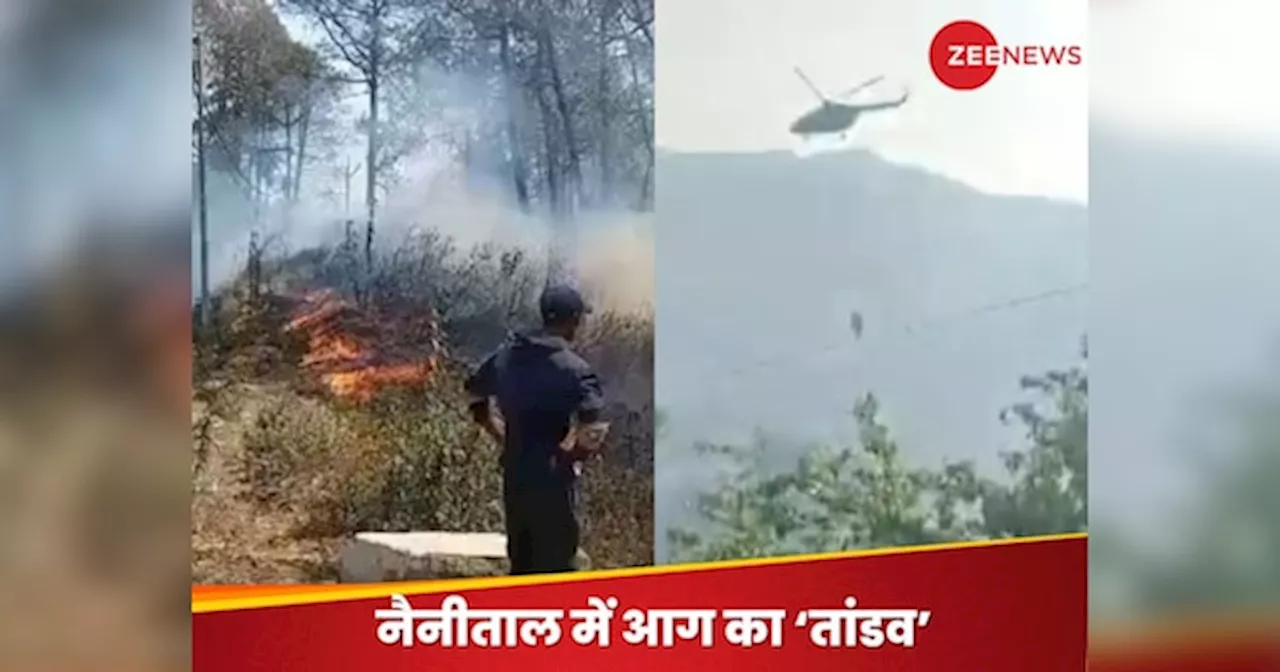 Nainital Fire: नैनीताल के जंगल में लगी आग हुई बेकाबू, बुझाने के लिए भीमताल से लाया जा रहा पानी