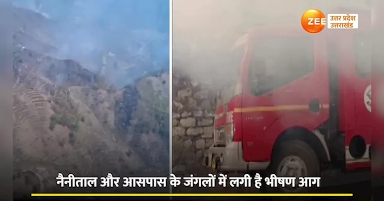 Video: उत्तराखंड के जंगलों में लगी आग का सीएम धामी ने किया हवाई सर्वे, सेना के हेलीकॉप्टर बुझा रहे आग