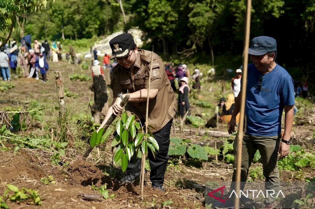 Bupati HST ajak ASN jaga tradisi tanam pohon untuk kelestarian Meratus