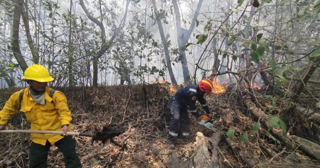 Cuerpo de Bomberos continúa labores de trabajo para liquidar incendio en Isla Salamanca