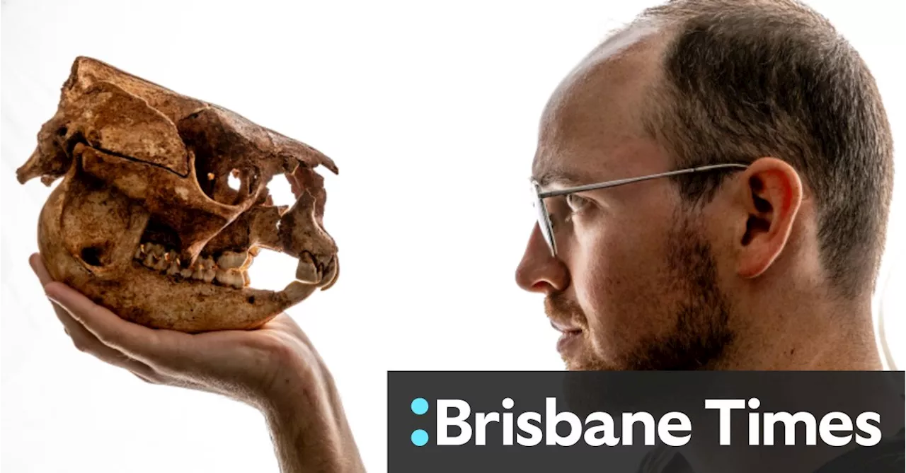 In an undiscovered cave, Josh came face-to-face with a human-sized skull