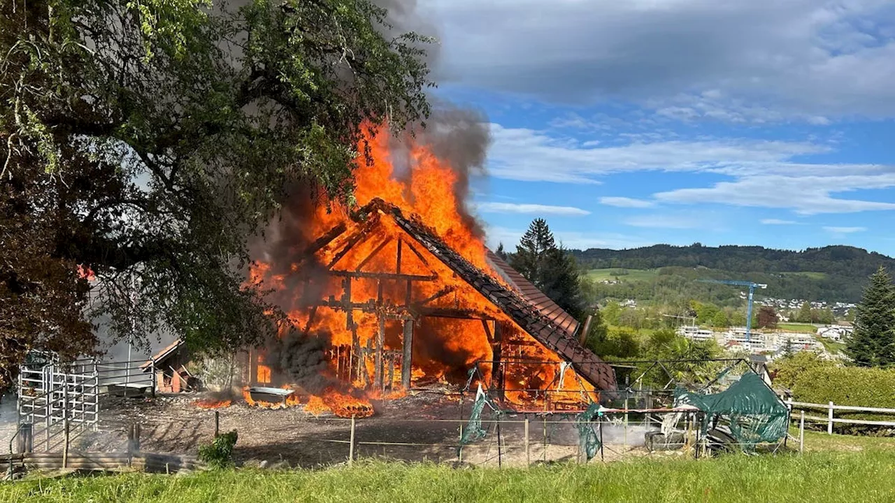 Brand: Bauernhaus unbewohnbar, Bewohner und Pferde gerettet