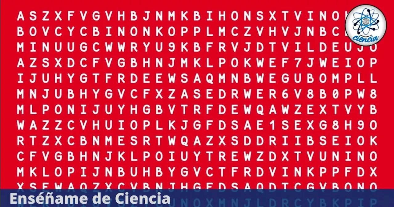 Acertijo visual para EXPERTOS: Encuentra las palabras CHOCOLATE y FLORES en la sopa de letras