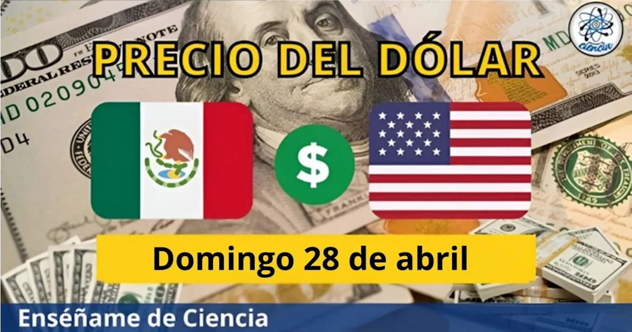 Precio del dólar domingo 28 de abril ¿Cómo amaneció el tipo de cambio en México?