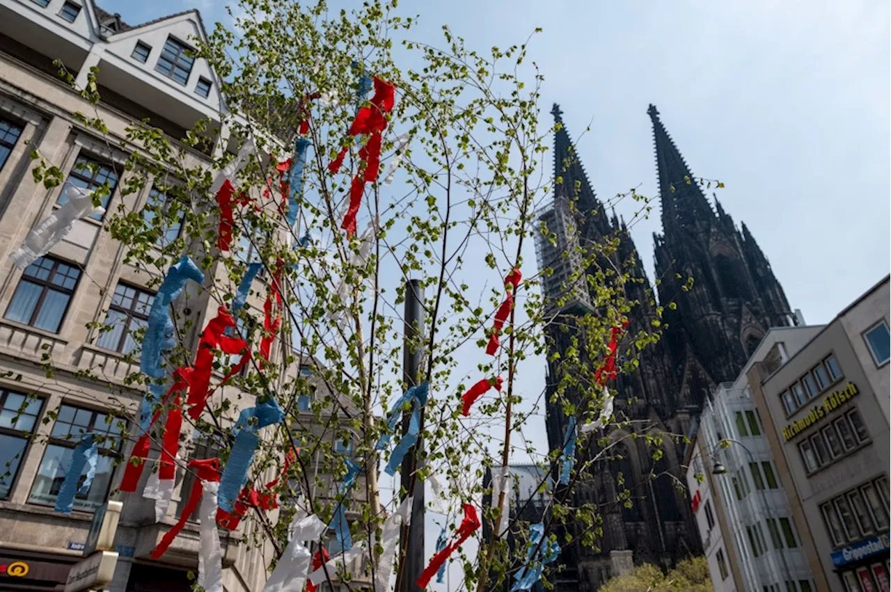 Hier kannst du einen Maibaum in Köln kaufen