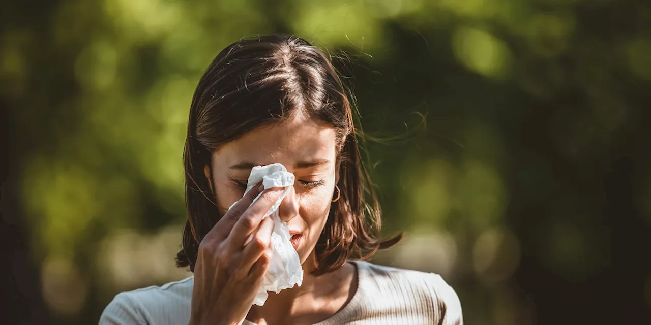 Wenn wegen Heuschnupfen die Nase läuft: 4 Tipps gegen den Allergie-Alarm