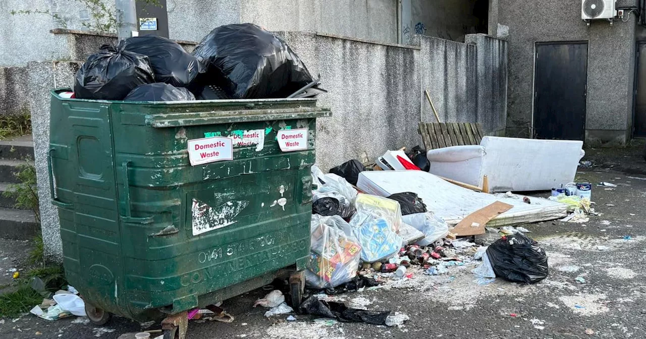 Kirkintilloch residents hit out at 'disgusting' fly-tipping amid complaints 'rats running wild'