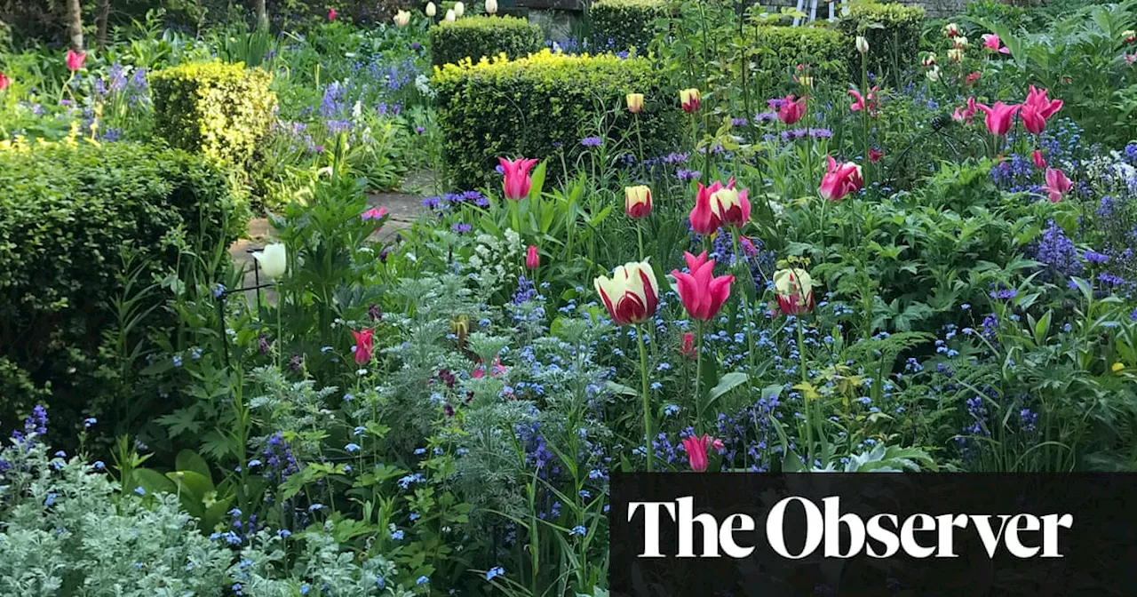 The Garden Against Time by Olivia Laing review – an Eden project of her own