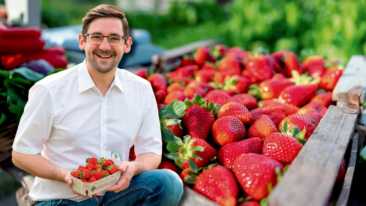 'Werden Preise erhöhen' – Erdbeeren jetzt bald teurer