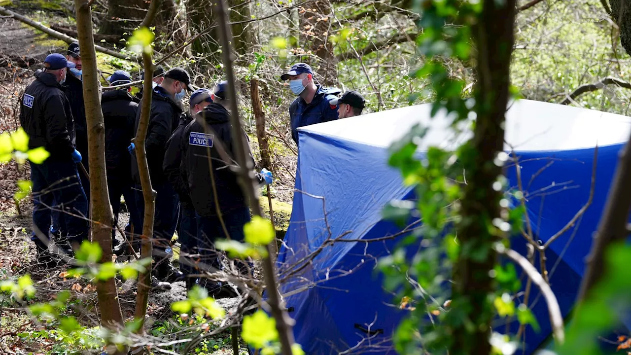 More human remains found at two locations in torso murder probe