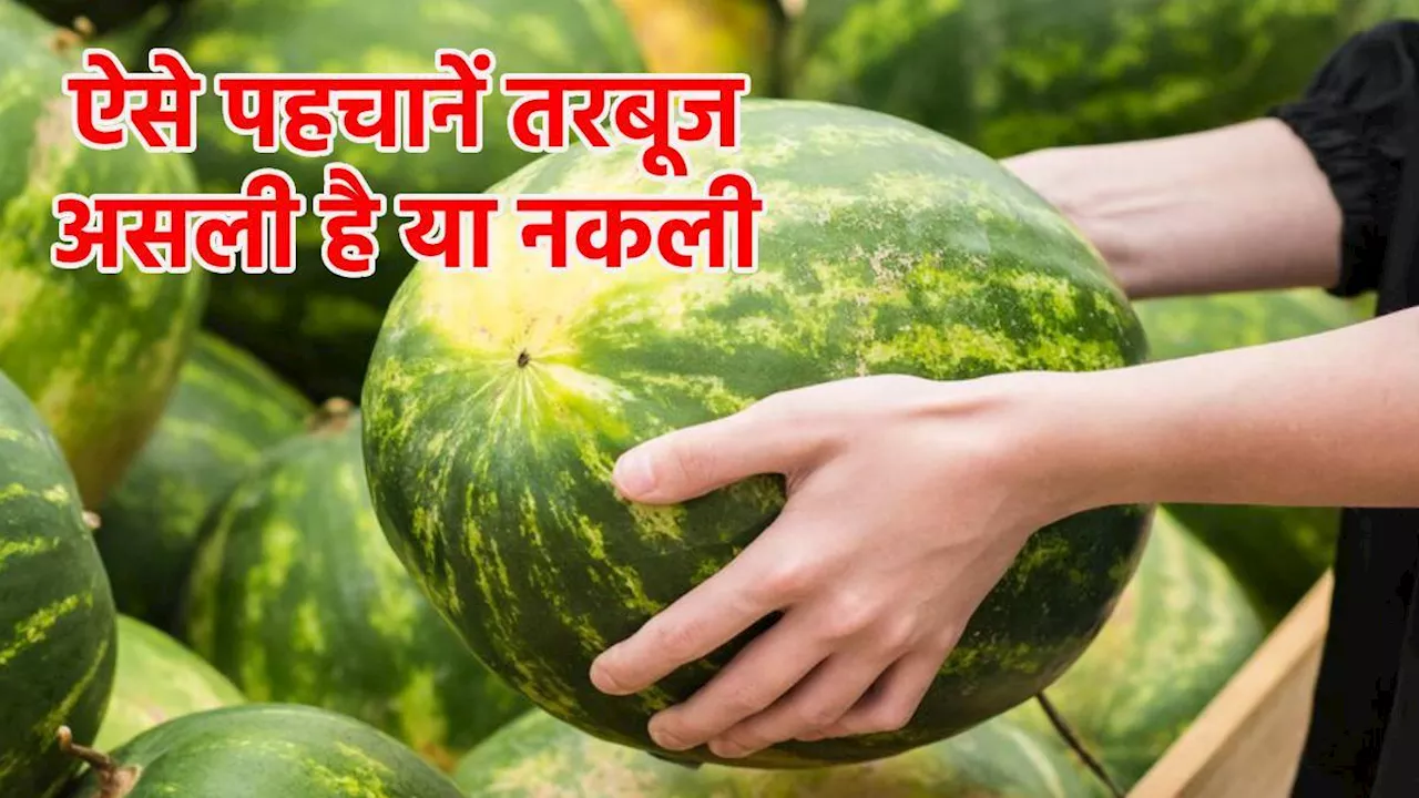 Watermelon Real vs Fake: इन आसान तरीकों से करें पहचान, तरबूज असली है या नकली