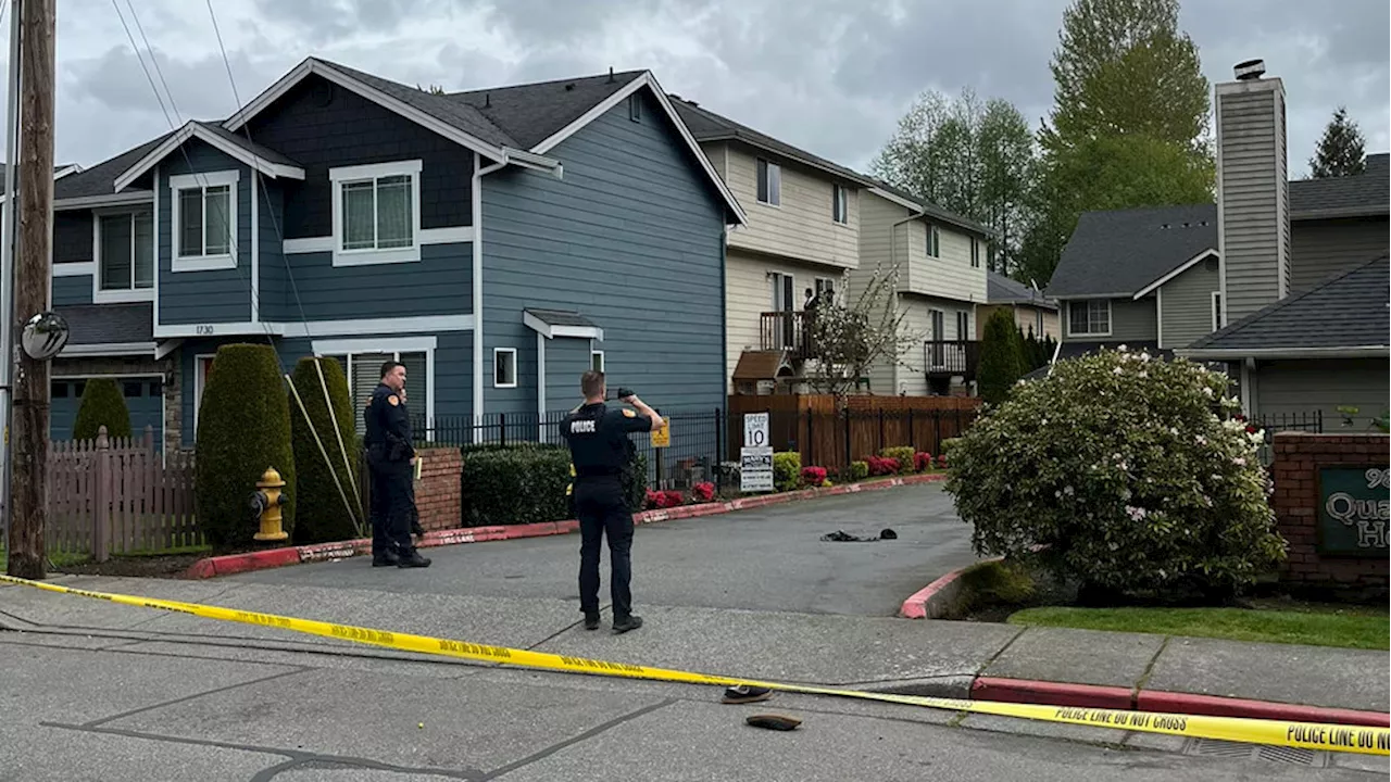 Juvenile arrested with shooting suspect in Everett drive-by shooting