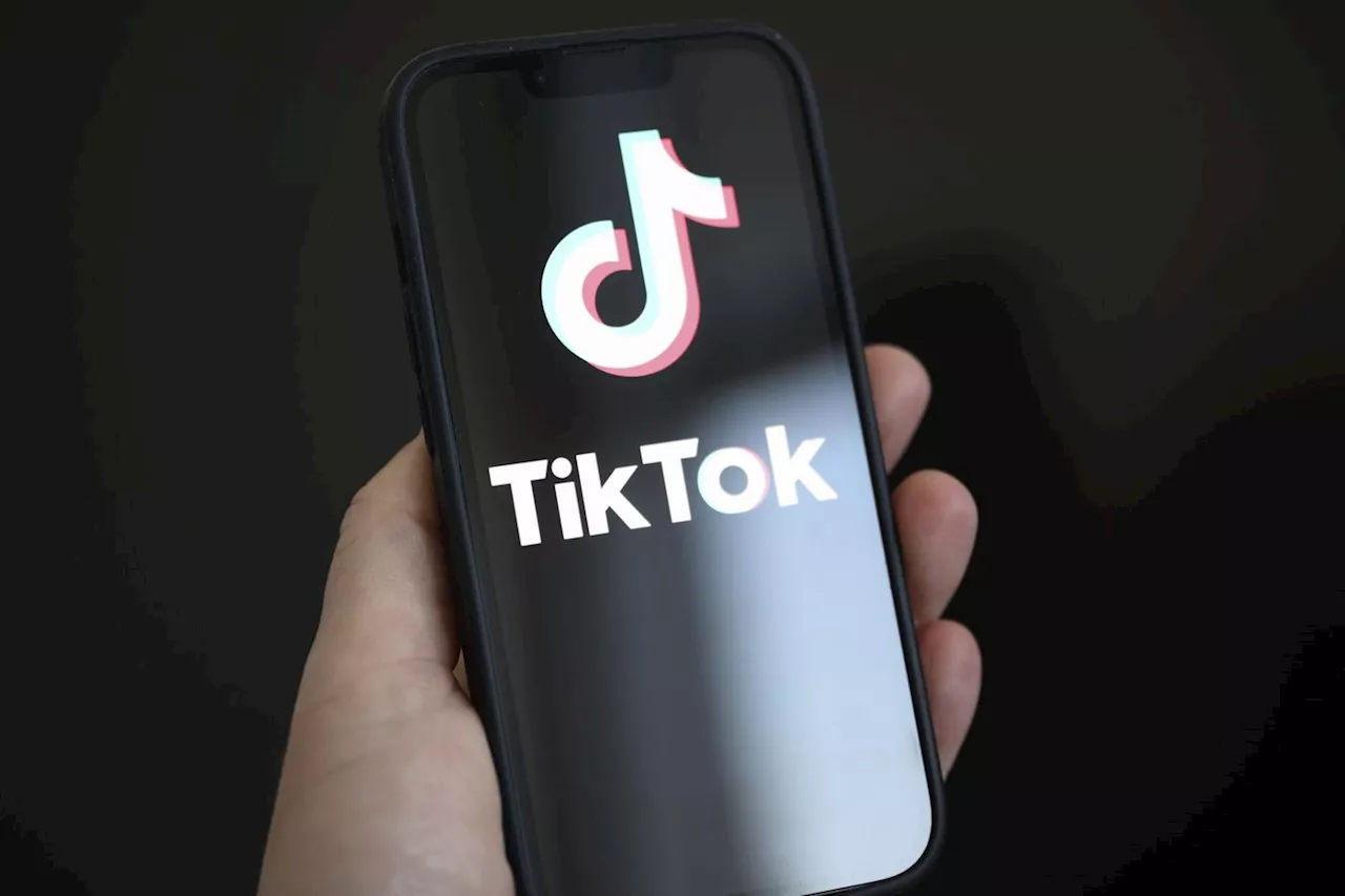 Réseaux sociaux : face aux accusations, TikTok cède aux uns mais pas aux autres