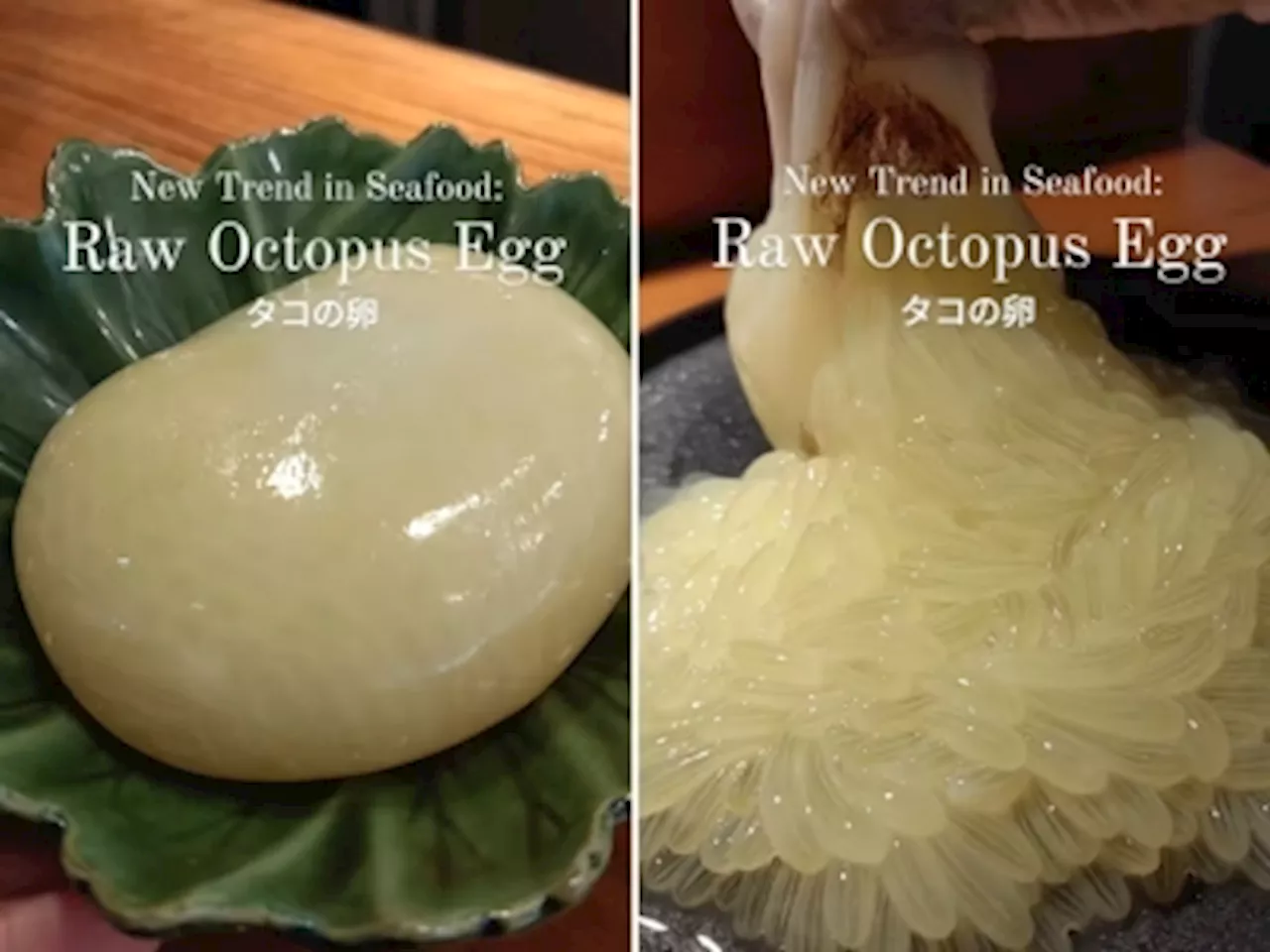 ‘This is the line for me’: Netizens voice disgust at raw octopus eggs sold at Japanese sushi bar in Singapore (VIDEO)