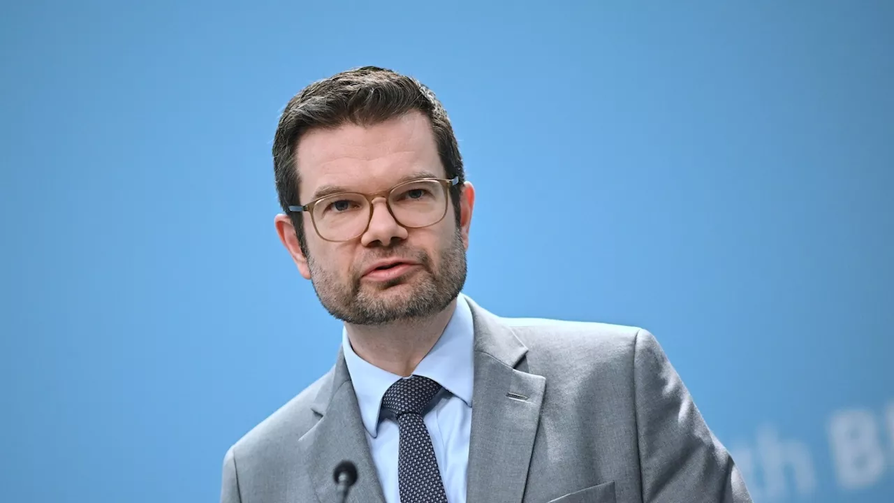 AfD-Spionageaffäre: Buschmann glaubt nicht an Einzelfall