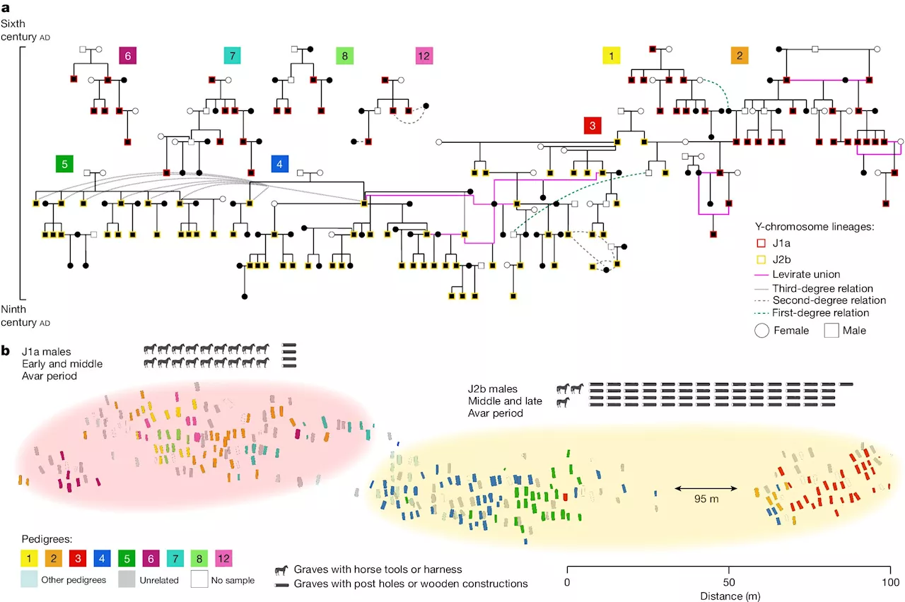 DNA study of Avar cemetery remains reveals network of large pedigrees and social practices
